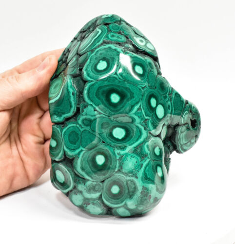 5.47" POLISHED BULLSEYE MALACHITE - Congo B124 - Picture 3 of 8