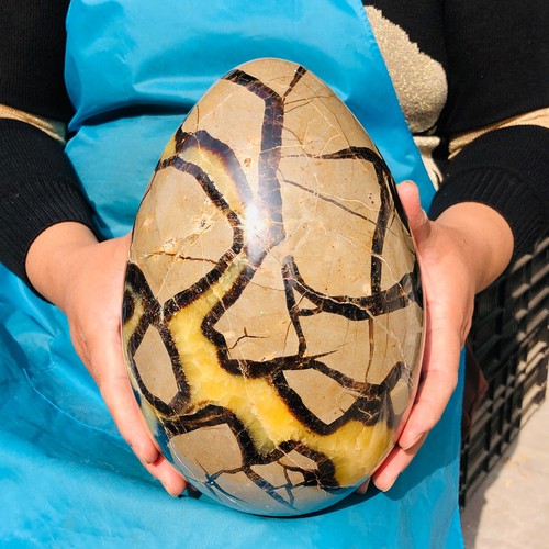 13.99LB Natural Dragon Septarian Egg Quartz Cluster Crystal Healing - Picture 4 of 15