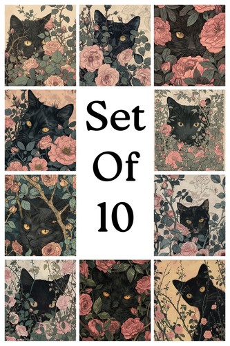 Floral Botanical Black Cat Greeting Card Set Of 10 Gothic Victorian Blank Cards - Picture 3 of 5