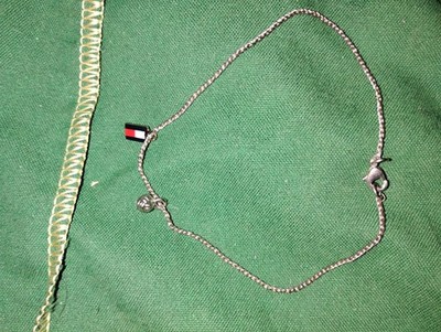 Tommy Hilfiger Silver Charm Chain Bracelet Round Link Adjustable Lobster Clasp