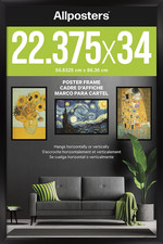 Poster Frame - Black 22.375" X 34" - Deluxe