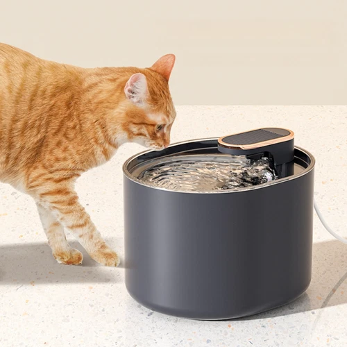 3L Automatic Pet Drinking Fountain Silent Automatic Power Off Easy To Install 