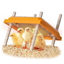 Brooder Heater for Chicks, 10" x 10" for 15 Chicks Heating Plate with 1Pack