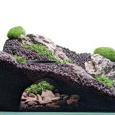 Aquarium & Terrarium Natural Viewing Cave | Fish & Reptiles | Gecko, Corydora...
