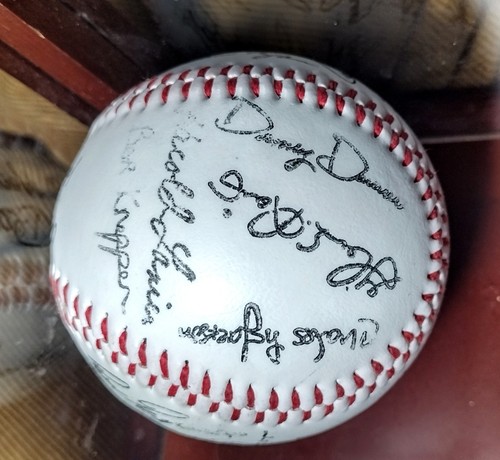 NOLAN RYAN SIGNED BASEBALL ORIGINAL VTG 1980's HOUSTON ASTROS TEAM AUTOGRAPHS - Picture 14 of 17