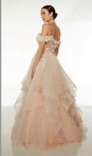 Alyce Paris Ball Gown Rosewater Size 2 Brand New Style 61532