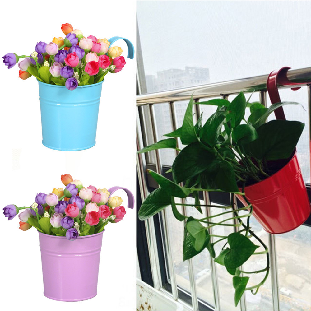 pflanzen für hängetöpfe