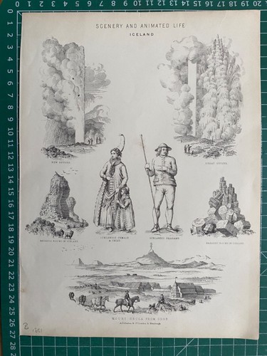 1851 Antique Print; Scenery and Animated Life. Iceland - Picture 2 of 2