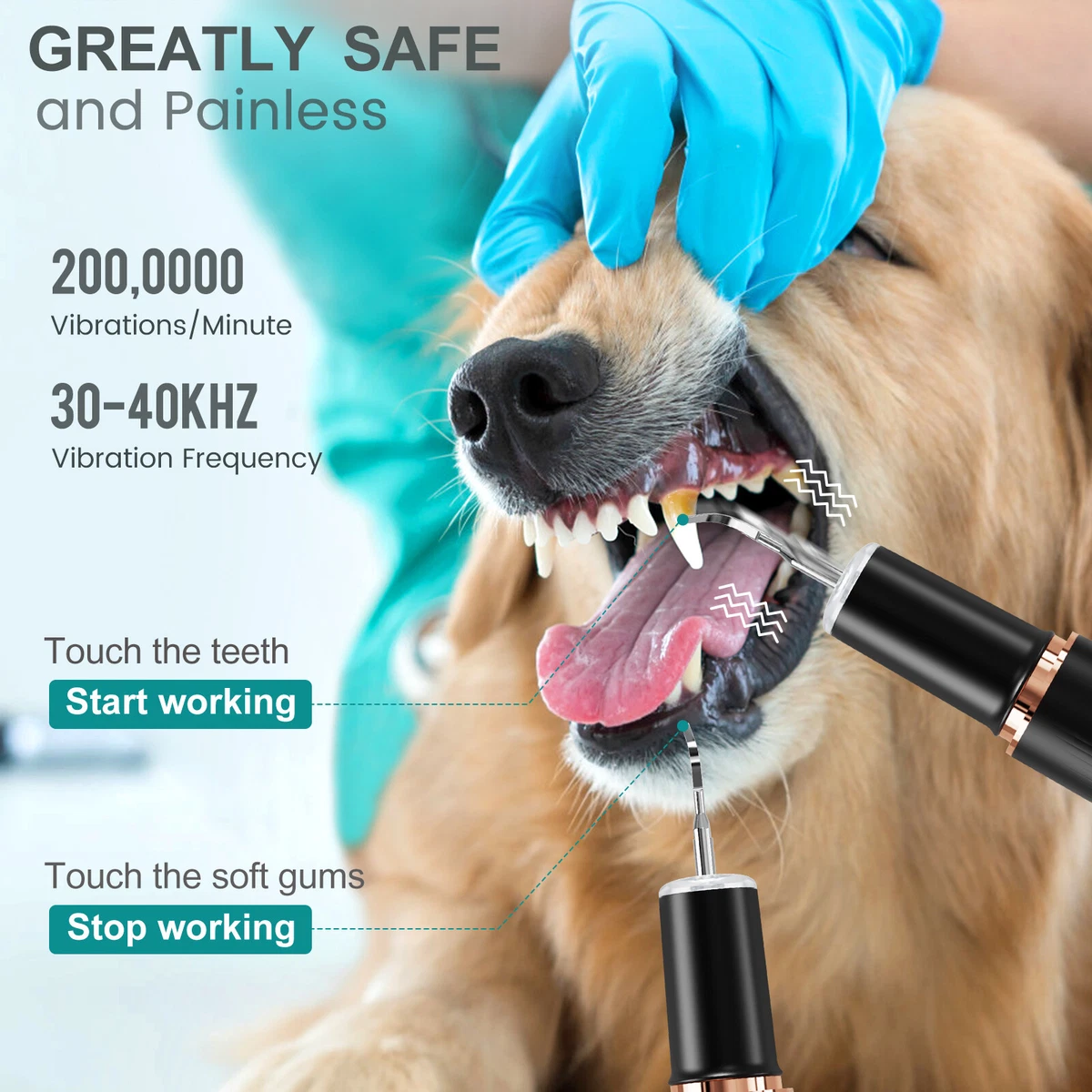 Dog tartar clearance remover