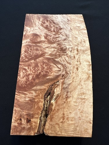 Ahorn Maser, Live Edge, 10 1/4” lang, 5 3/4” breit, 1 5/8” dick, trocken - Bild 5 von 8
