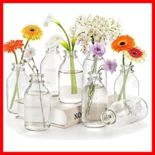 Elegant 12-Piece Clear Glass Bud Vases for Home Decor and Wedding Centerpieces