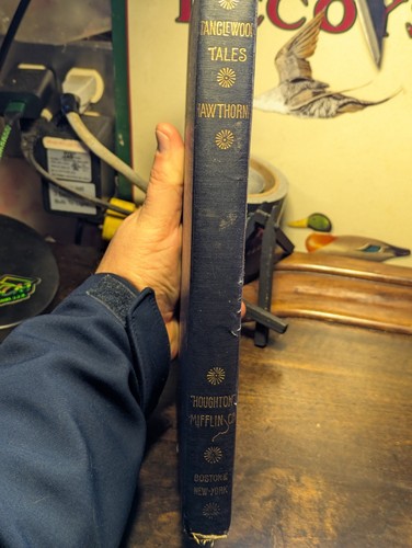 TANGLEWOOD TALES for BOYS & GIRLS (1887) Antique Book by Nathaniel Hawthorne - Picture 4 of 16