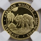 2017 Somalia Elephant 1/10 oz Gold 100 Shillings NGC MS 69 .9999 Fine — photo 3