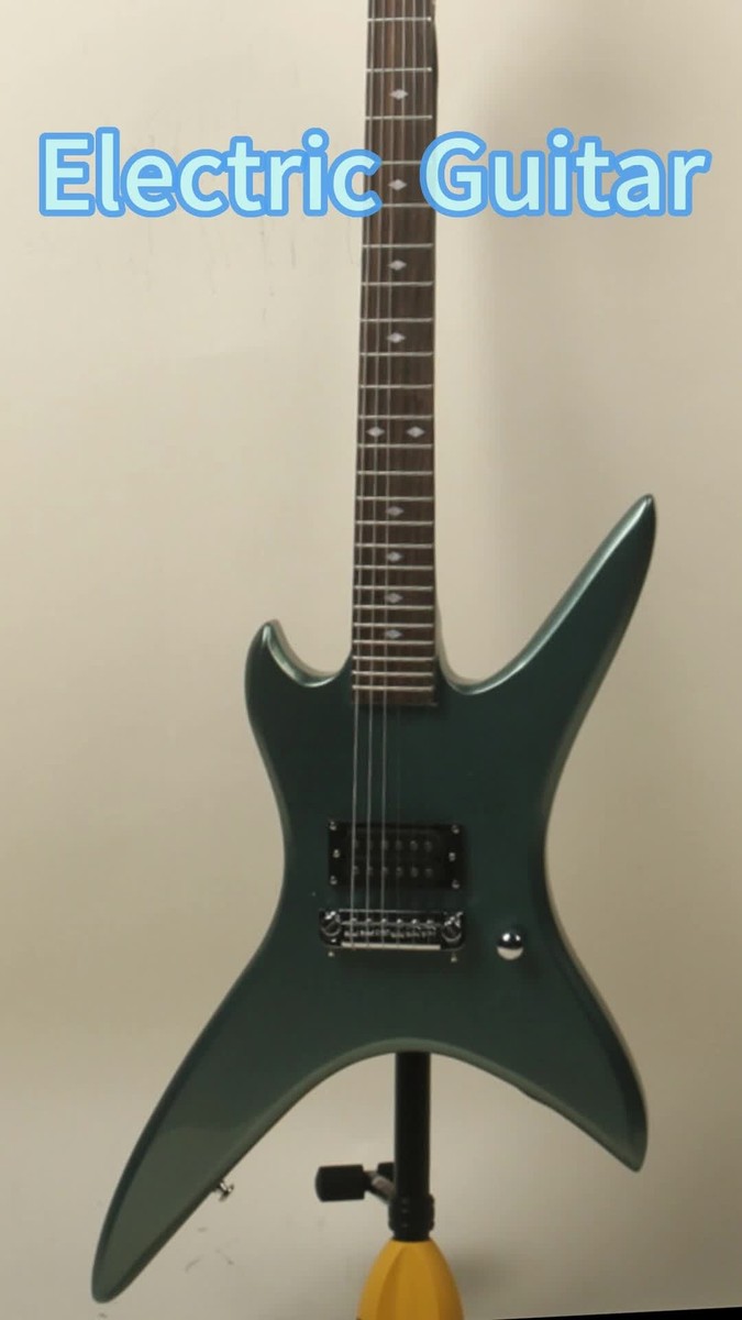 Chuck Schuldiner's Tribute Stealth Electric Guitar Special