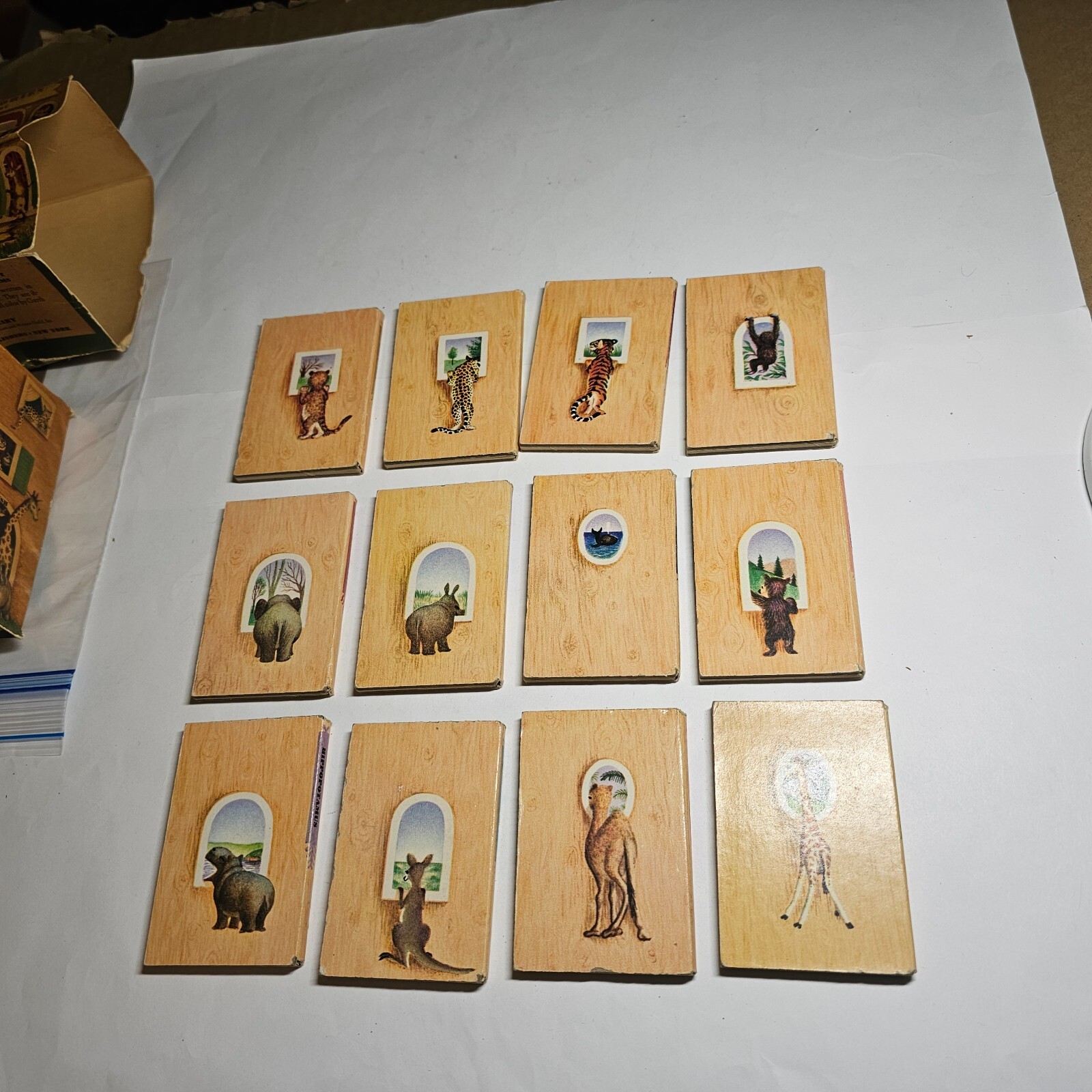 Picture 14 of 23