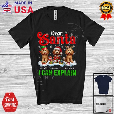 Santa I Can Explain; Merry Christmas Custom Name Three Sproodles; Snowing Shirt