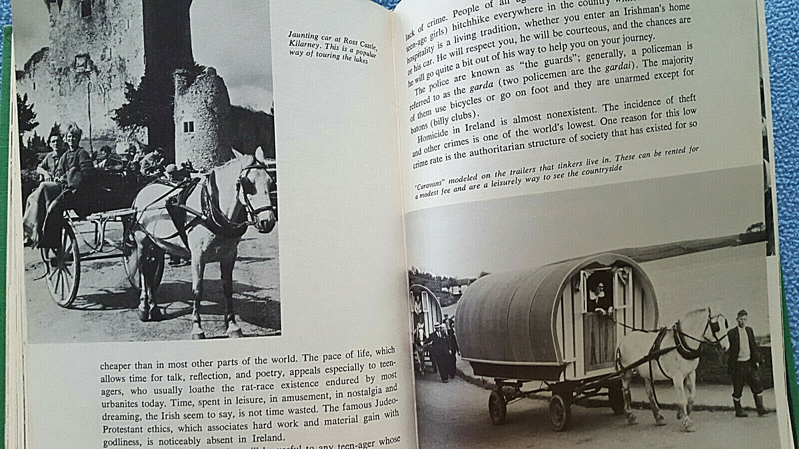 Picture 5 of 7