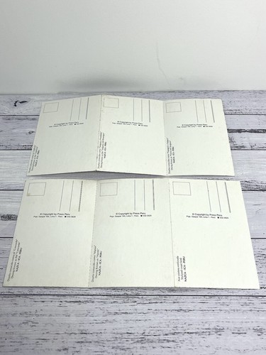 6 x NAZCA LINES ICA PERU Vintage Postcards by Press Peru History Religious RARE - Foto 4 di 6