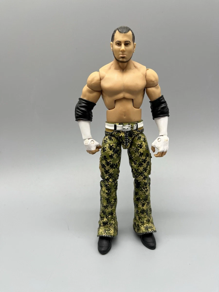 Hardy Boyz In Sports Action Figures for sale | eBay