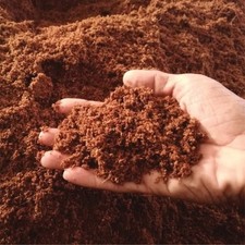Coconut Peat Coco Coir Fiber Plant Seed Starter Hydroponic Growing 500g Free Shi