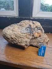 Burl Wood