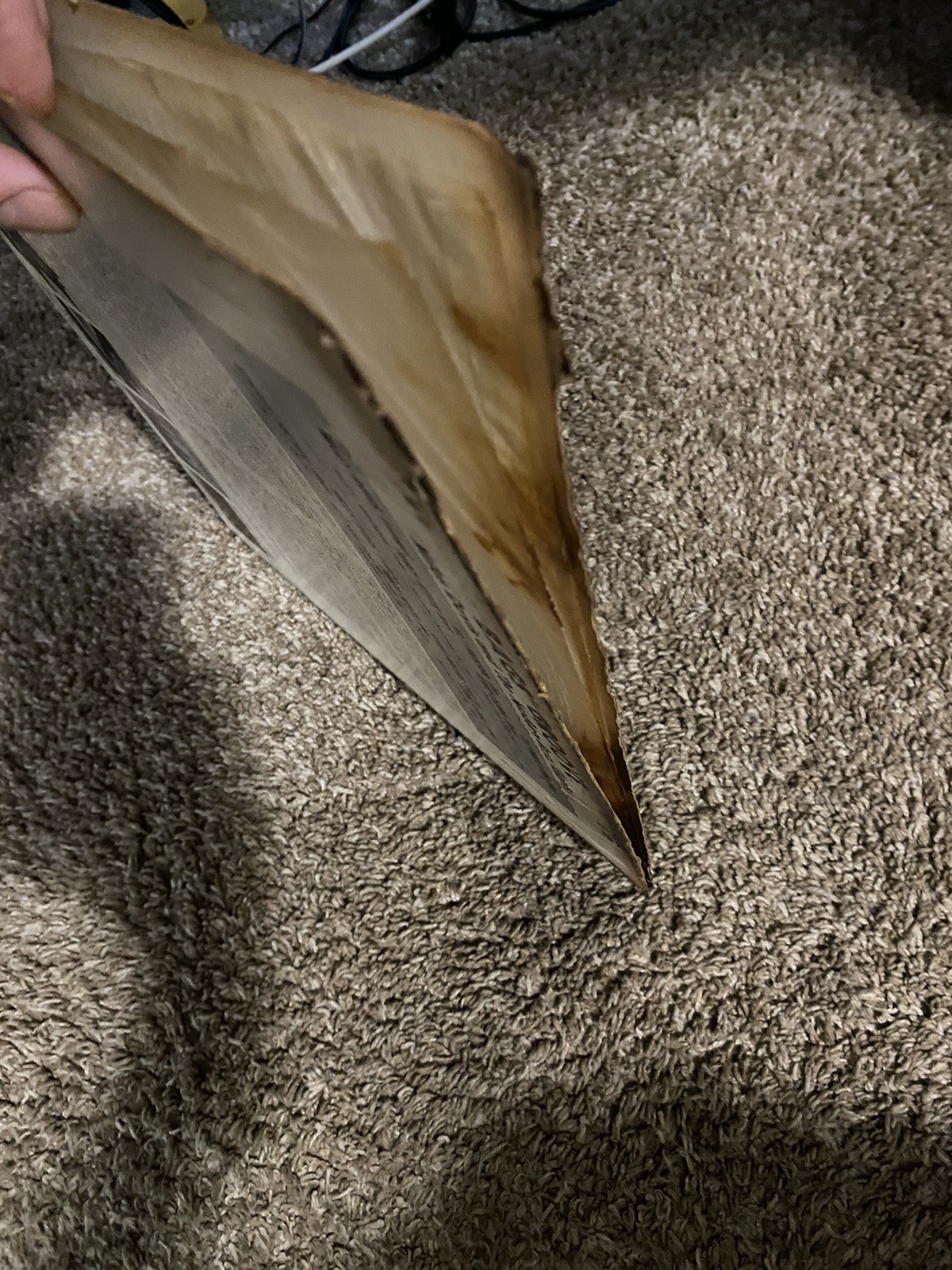 Picture 3 of 17