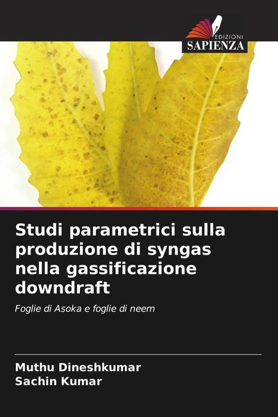 Studi Parametrici Sulla Produzione Di Syngas Nella Gassificazione Downdraft Buch-image
