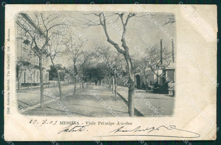 Messina Città Viale Principe Amedeo PIEGHINA STRAPPINI cartolina MX0629