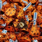 Foto 2 di 5