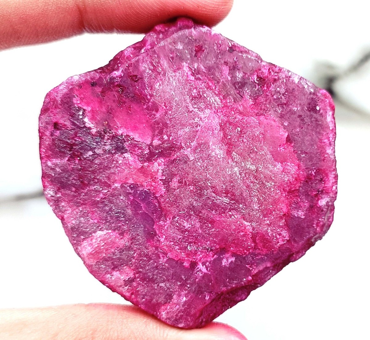 Dyed 482.95 Ct Natural Red Ruby Uncut Rough EGL Certified