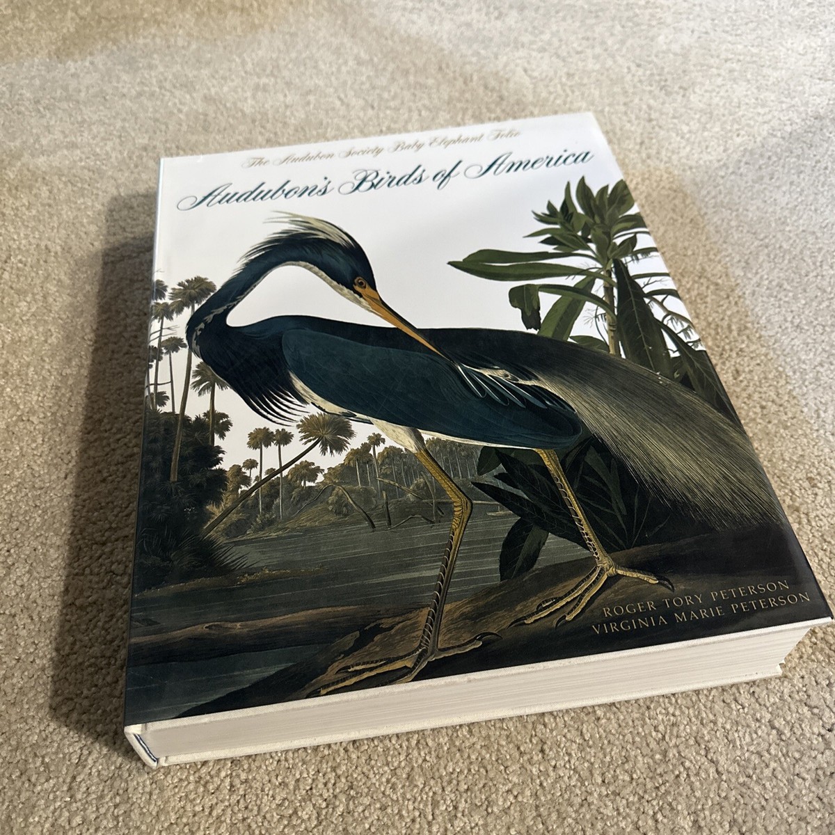 Audubon's Birds of America The National Audubon Society Baby