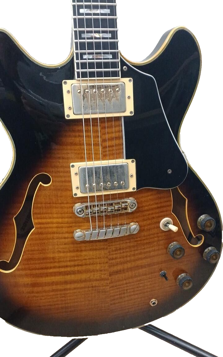 ギター Ibanez AS200 Ibanez AS-200 Semi-Hollow Body Electric Guitar