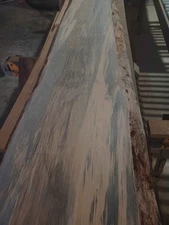 Pine, Southern Yellow - Blue Stained Live Edge Slabs, 2-Inch, Kiln Dried, Planed