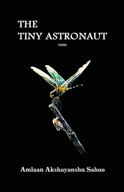 The Tiny Astronaut by Amlaan Akshayanshu Sahoo PAPERBACK 9781645601050