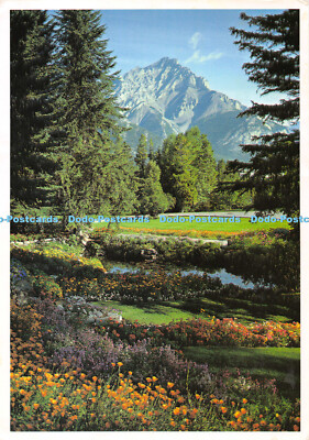 D104113 Kaskadenberg aus den Kaskadengärten. Banff Nationalpark. The Cana