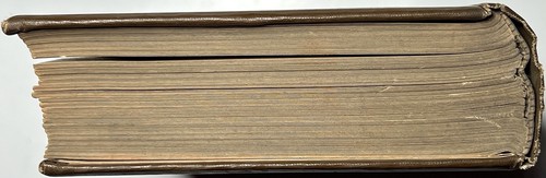 1892 FAMOUS TYPES OF WOMANHOOD SARAH K BOLTON ILLUSTRATED FINE BINDING 1ST RARE - Picture 4 of 12