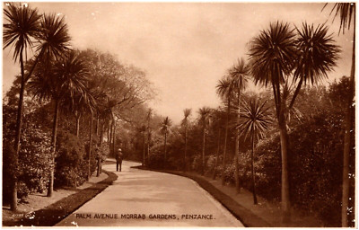 Palm Avenue Morrab Gardens Penzance England 1931 RPPC Postcard UK Photo