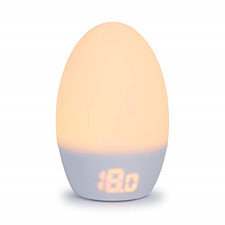gro egg ebay