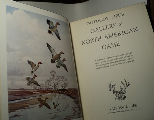 Outdoor Life's Gallery of North American Game by Francis Lee Jaques - 1958 - Picture 2 of 4