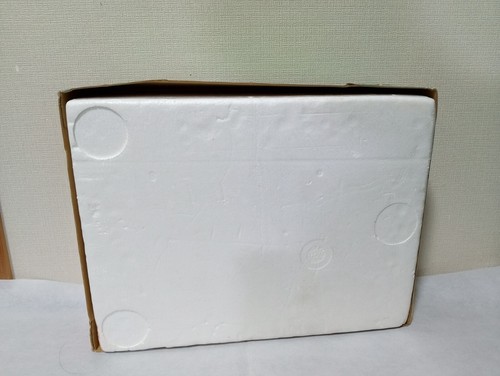Consola Nintendo Super Famicom japonesa y paquete de juegos japonés SNES probado - Imagen 20 de 20