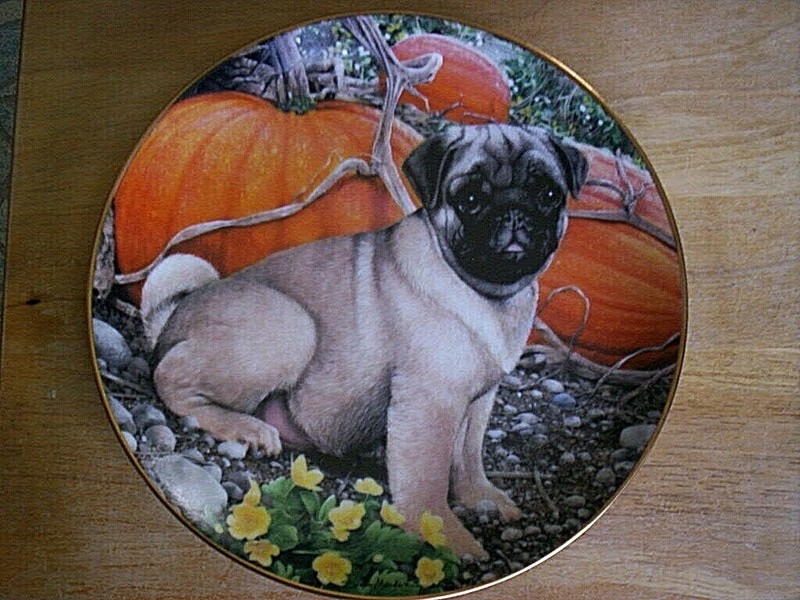 Retired Danbury Mint  Pug Limit Edition Plate PUMPKIN PATCH PUG  by Simon Mendez