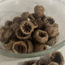 8 Ounces of Walnuts - Harvested Nut in Shell