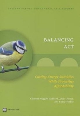 Anne Olivier Chris Trimble Caterina Ruggeri Laderchi Balancing Act (Paperback)
