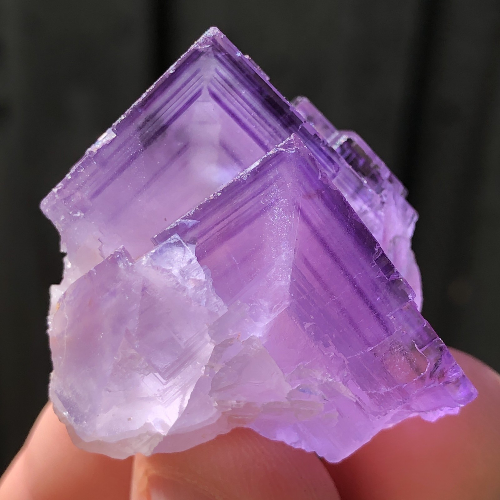3.7cm Purple Fluorite Crystal Specimen from Berbes Spain