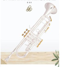 Trumpet ba ch LT198gs-85 plate with silver gold-plated Trumpete with case