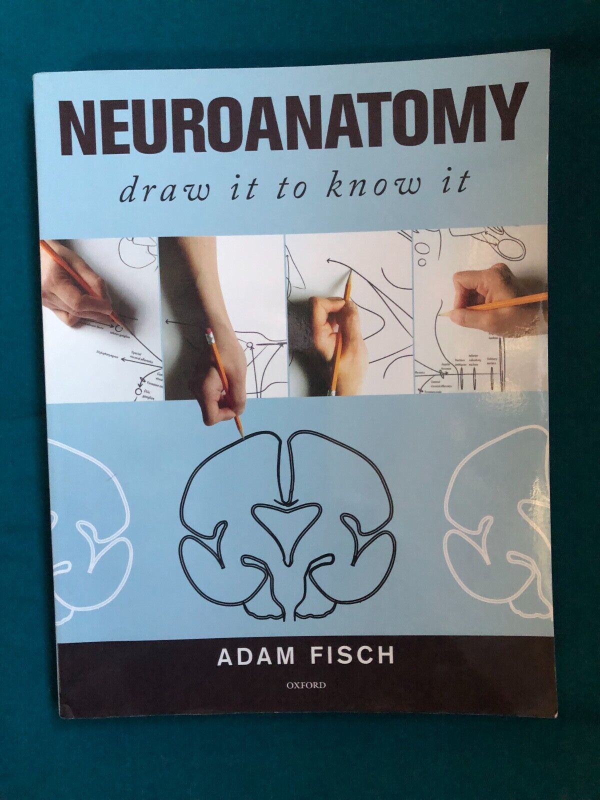 Neuroanatomy: Draw It to Know It