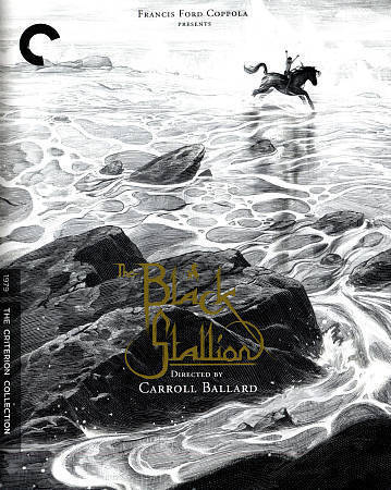 The Black Stallion (Blu-ray Disc, 2015, Criterion Collection)