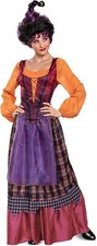 Mary Deluxe Disney Hocus Pocus Witch Fancy Dress Up Halloween Adult Costume
