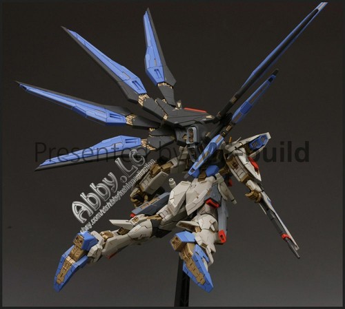 Kit de vestir para MG 1/100 ZGMF-X20A Strike Freedom Refundido RESINA MSB construcción - Imagen 8 de 10