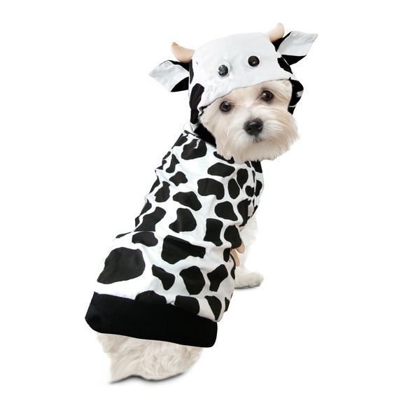 cocoon dog bed costco